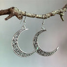 Silver crescent moon earrings hanging from a branch with a blurred background